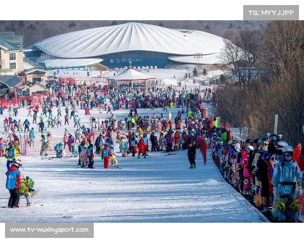 全国大众冰雪季成全民健身品牌，巩固“三亿人参与冰雪”成果
